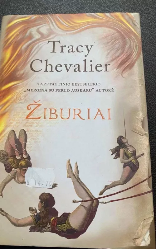 Žiburiai - Tracy Chevalier, knyga 2