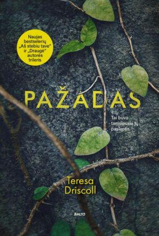 PAŽADAS - Teresa Driscoll, knyga 4