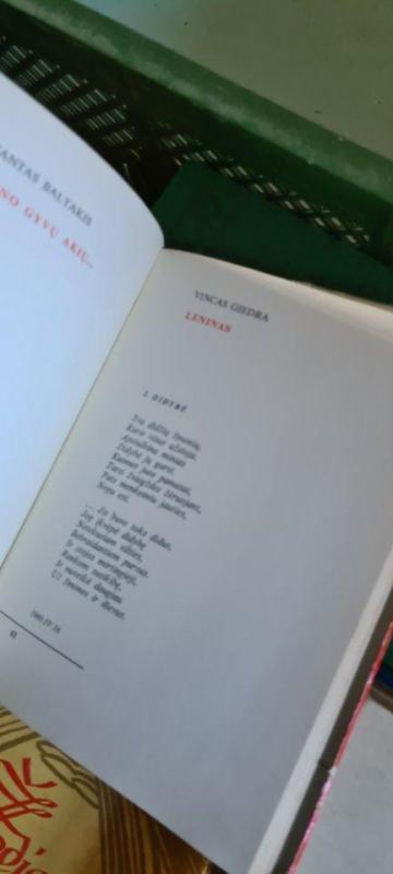 Daina apie Leniną - Autorių Kolektyvas, knyga