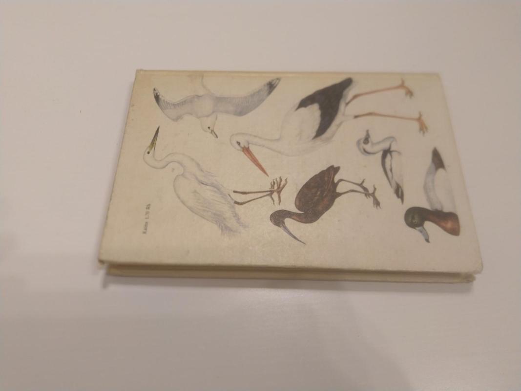 Lietuvos paukščiai - Vytautas Logminas, knyga 2