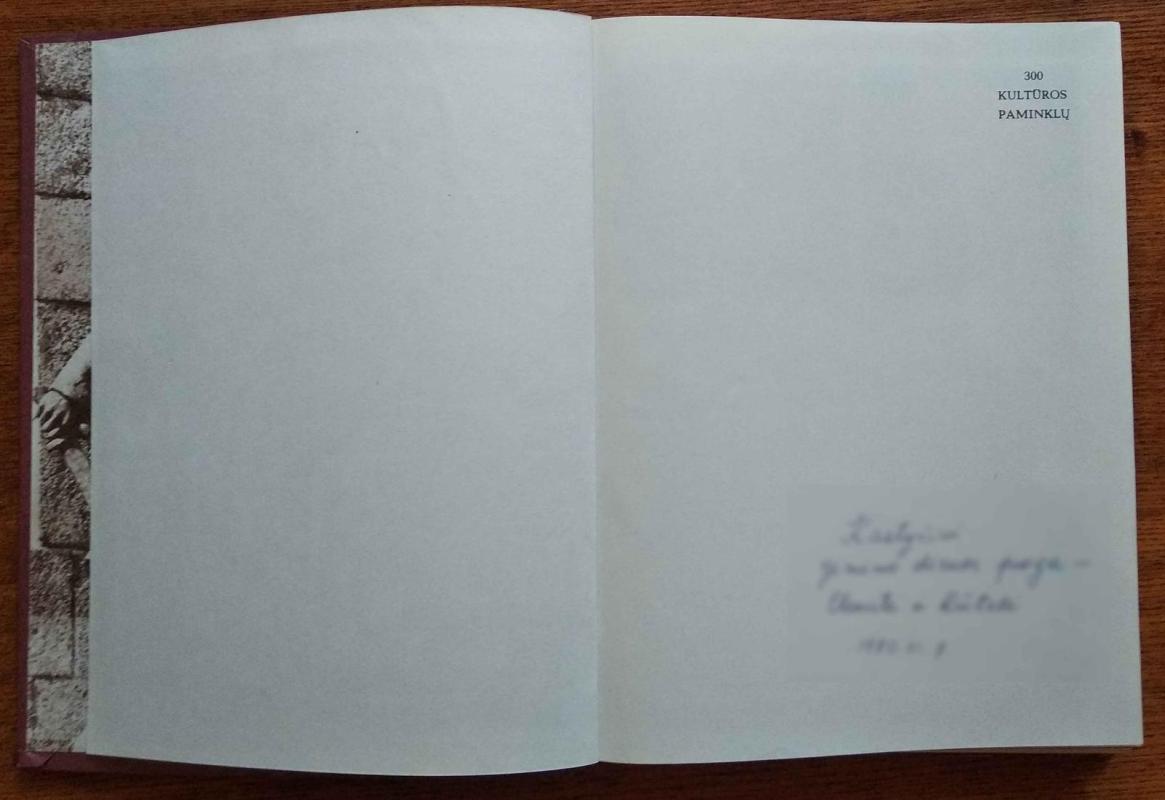300 kultūros paminklų - Autorių Kolektyvas, knyga 3