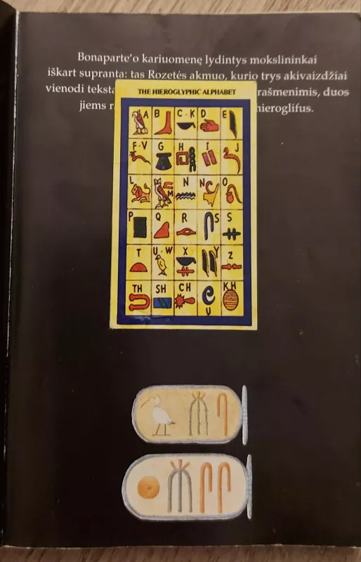 Užmiršto Egipto beieškant - jean Vercourtter, knyga