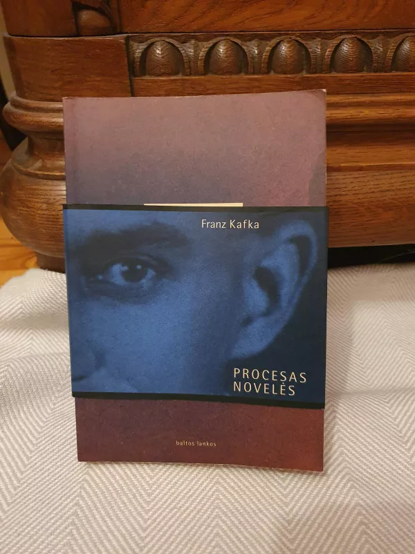 Procesas Novelės - Franz Kafka, knyga