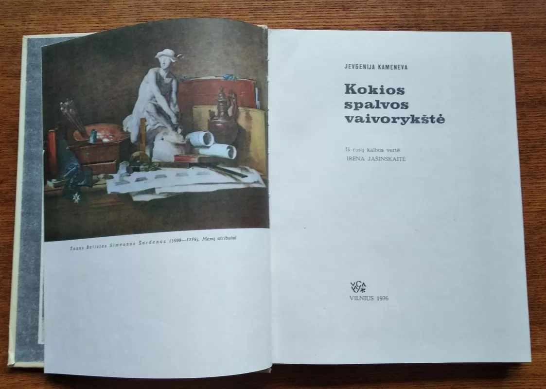 Kokios spalvos vaivorykštė - Jevgenija Kameneva, knyga 3