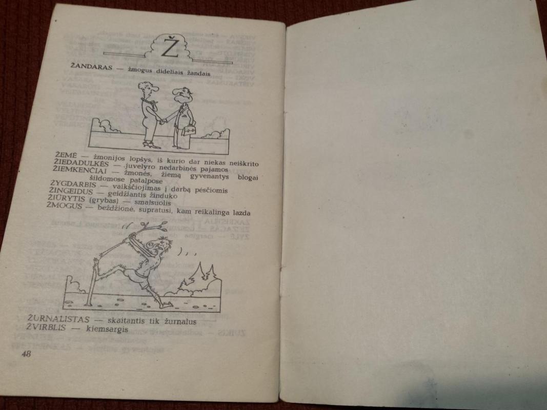 Linksmasis žodynėlis - Autorių Kolektyvas, knyga 4