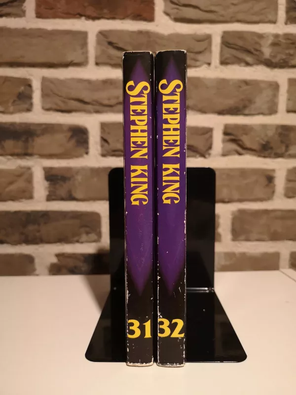 Tamsusis bokštas (2 knygos) - Stephen King, knyga