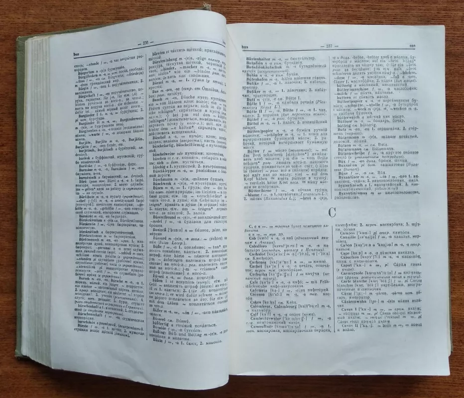 Немецко-Русский словарь 1958 - А.А., Н.П. Лепинг, Страхова, knyga 4