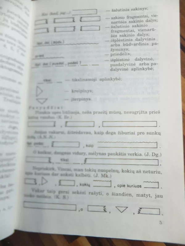 Lietuvių kalbos rašybos ir skyrybos pratimai X-XII klasei - Bronius Dobrovolskis, knyga 4