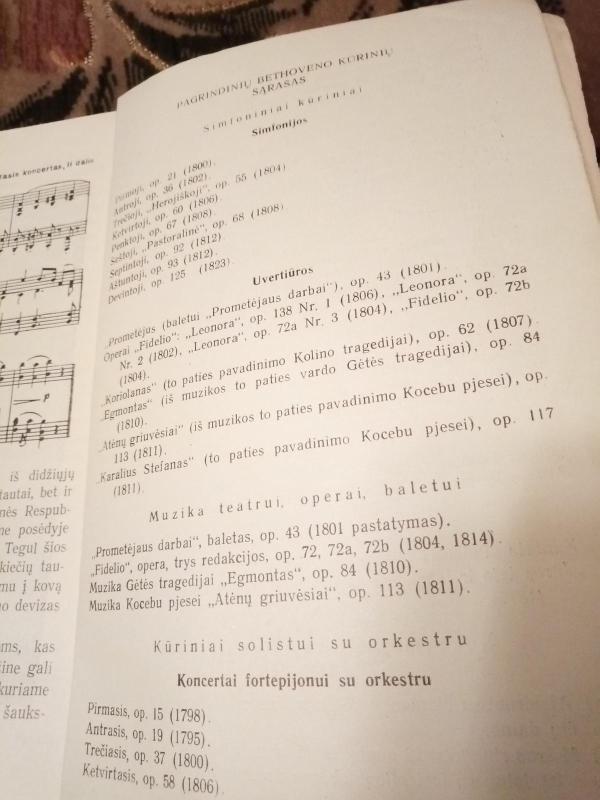 Bethovenas - L. Keršner, knyga 3