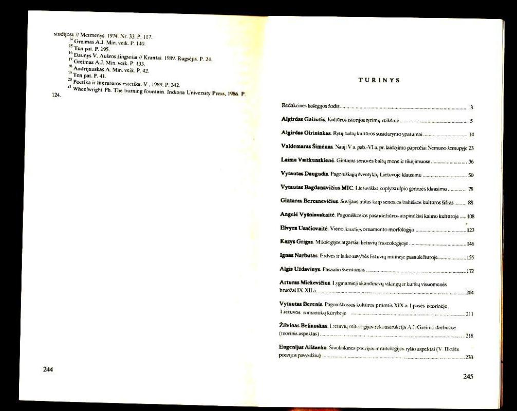 Ikikrikščioniškosios Lietuvos kultūra. Istoriniai ir teoriniai aspektai [serija SENOVĖS BALTŲ KULTŪRA] - Autorių Kolektyvas, knyga 2