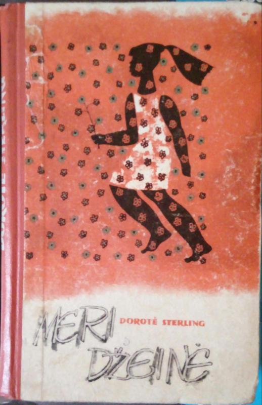 Meri Džeinė - Dorotė Sterling, knyga 4