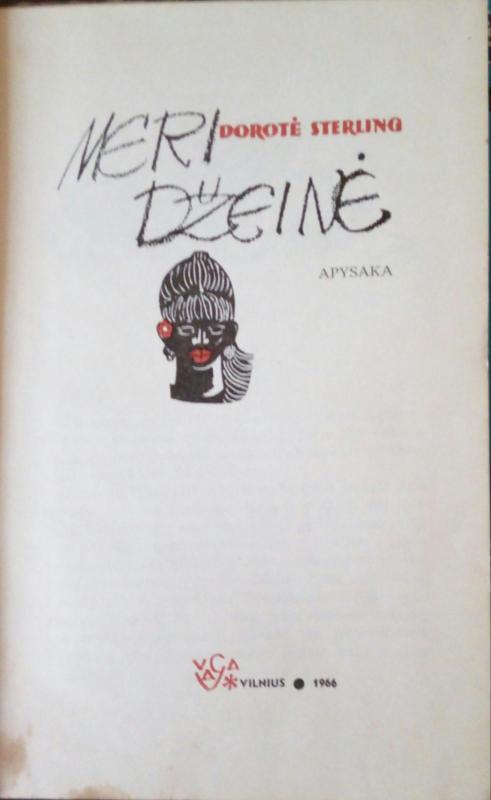 Meri Džeinė - Dorotė Sterling, knyga 3