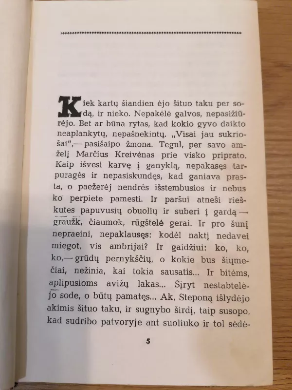 Po vasaros dangum - Vytautas Bubnys, knyga 5
