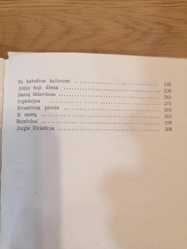 Namai - Vytautas Rimkevičius, knyga 3