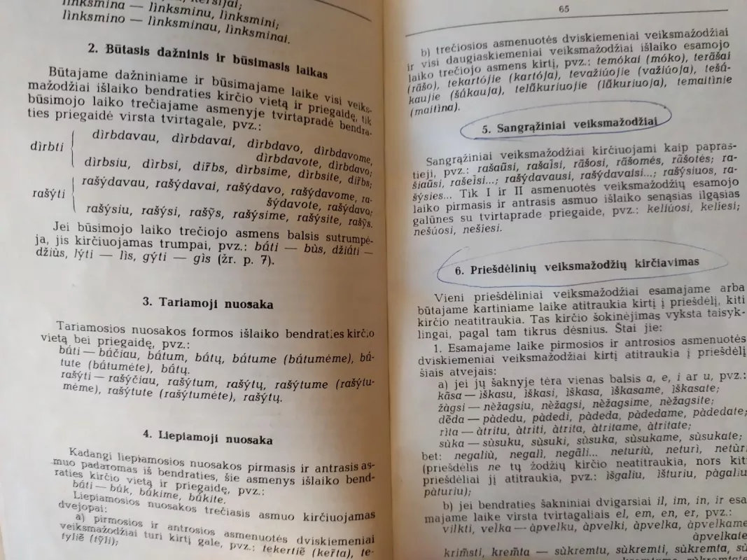 Lietuvių kalbos rašybos žodynas mokykloms - Autorių Kolektyvas, knyga 4