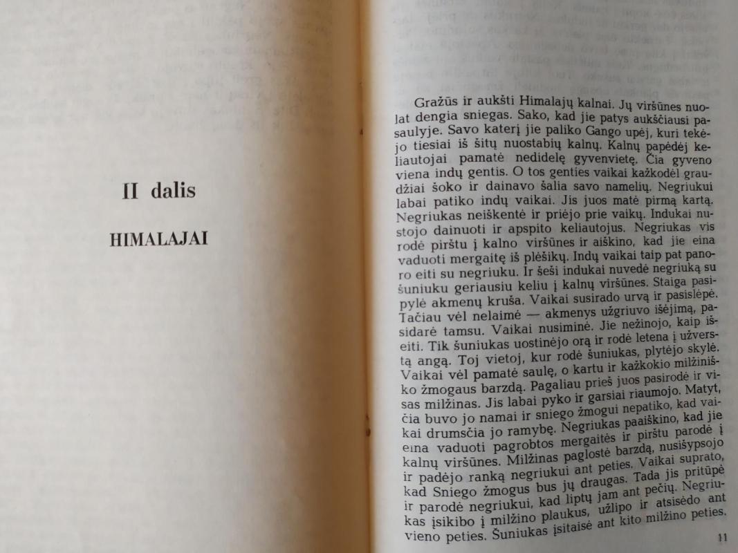 Negriuko ir kalbančio šuniuko nuotykiai - Vaidotas Kazlauskas, knyga 4