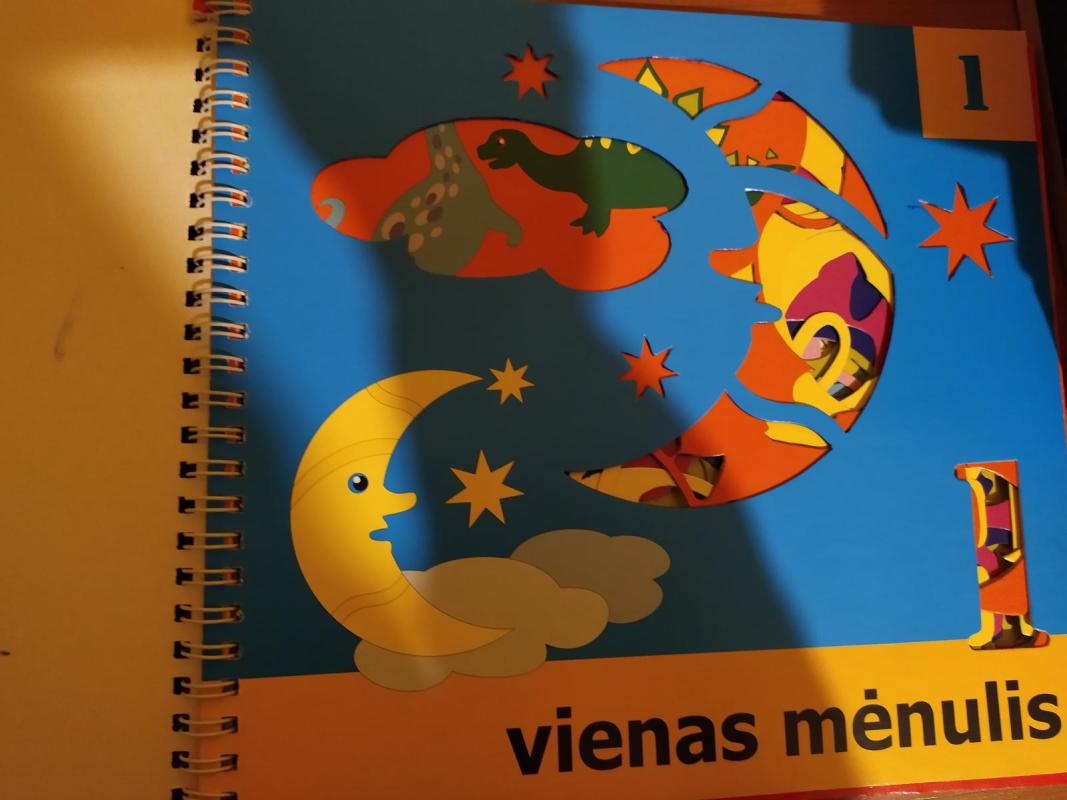 Trafaretų knygelė - Vigita Žiukaitė, knyga 3