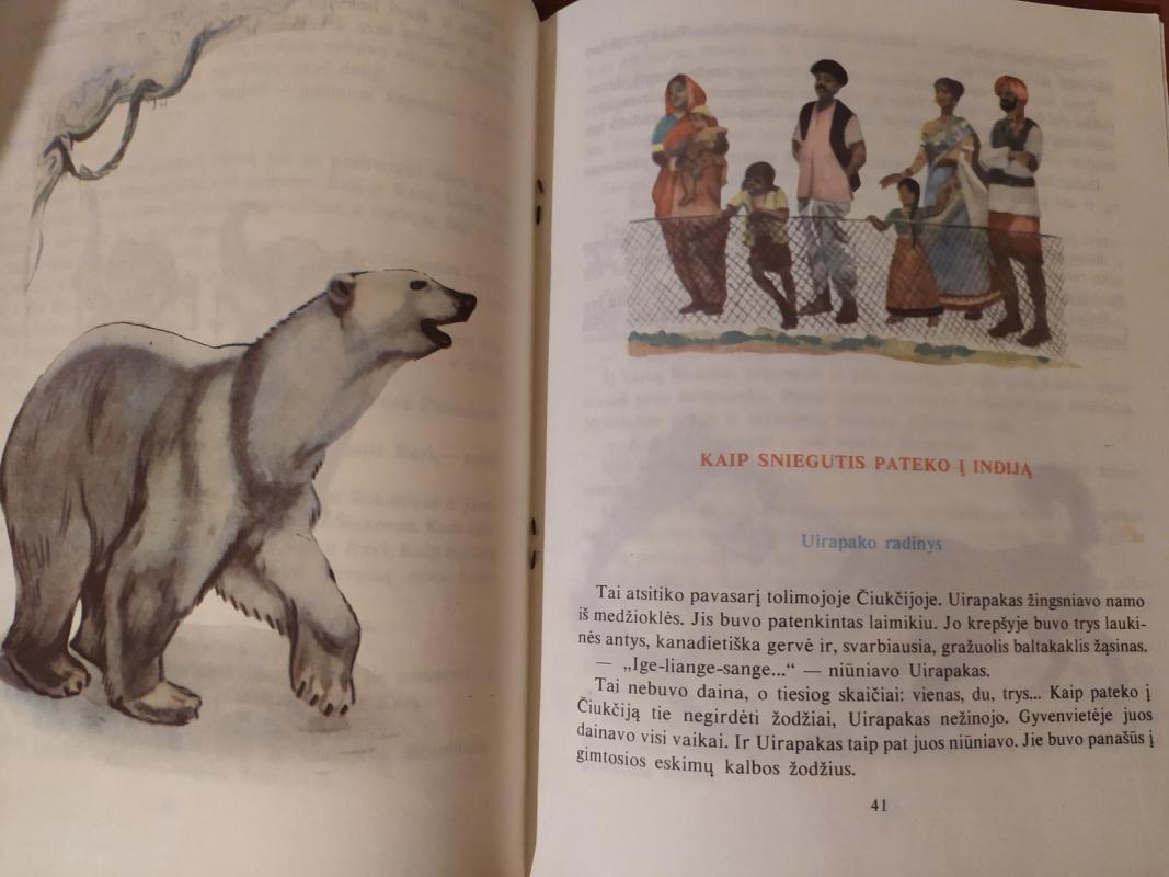 Šašis ir Ravi. Kaip Sniegutis pateko į Indiją - Sergejus Baruzdinas, knyga 4