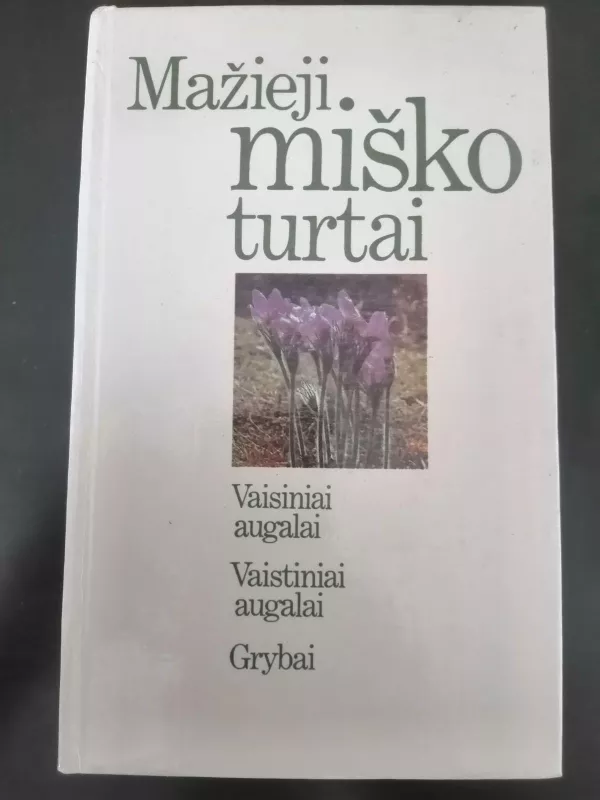 Mažieji miško turtai - Butkus V. ir kiti, knyga 4