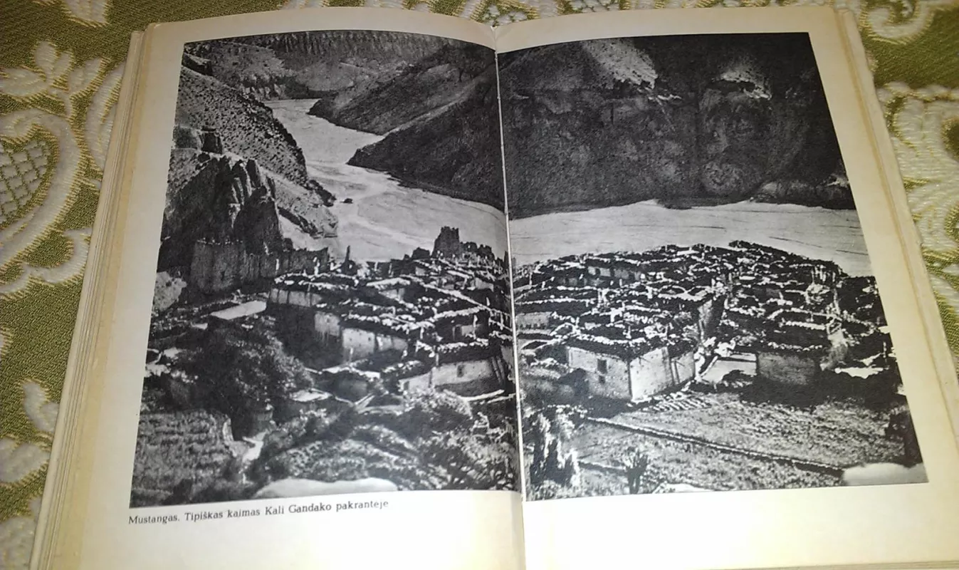 Kelionės į Mustangą ir Butaną - Mišelis Peselis, knyga 4