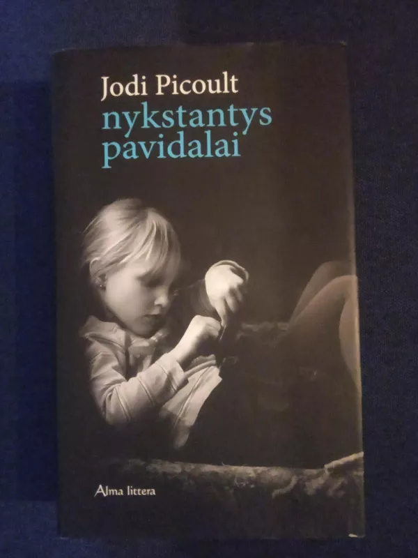 Nykstantys pavidalai - Jodi Picoult, knyga