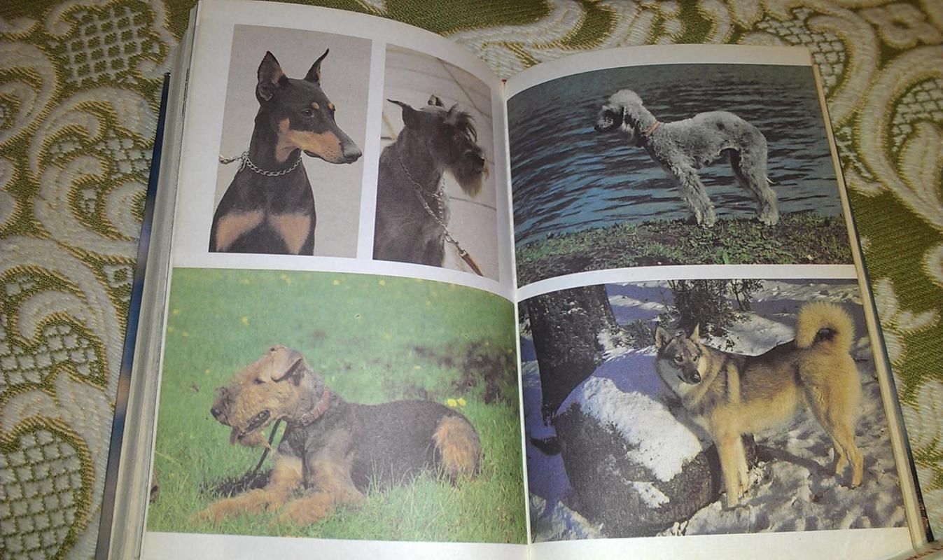 Ваши домашние четвероногие друзья - Н.П. Бацанов, knyga 4