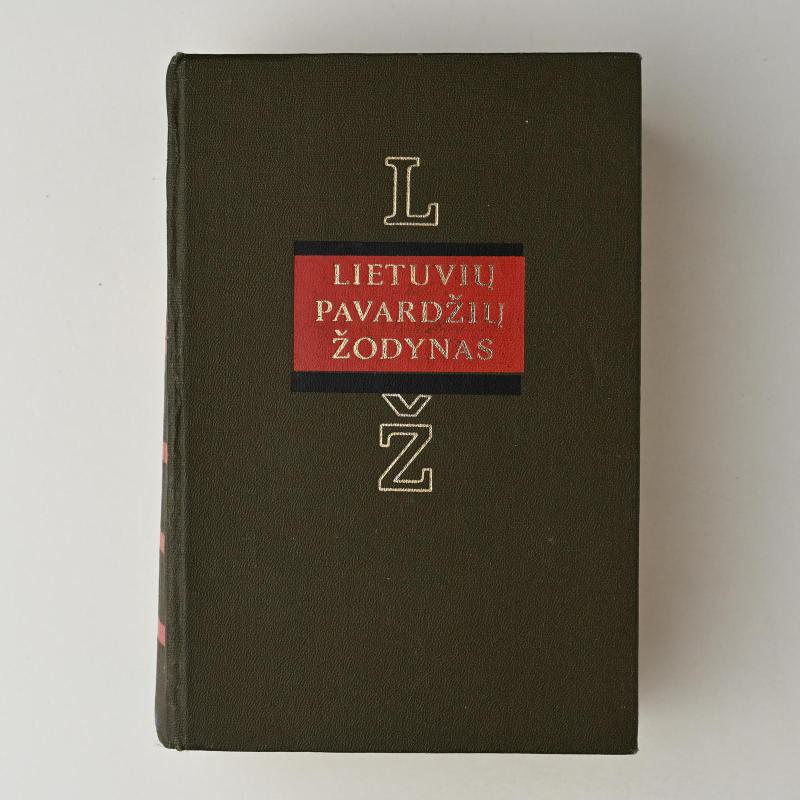 Lietuvių pavardžių žodynas (2 tomai) - Aleksandras Vanagas, knyga 2