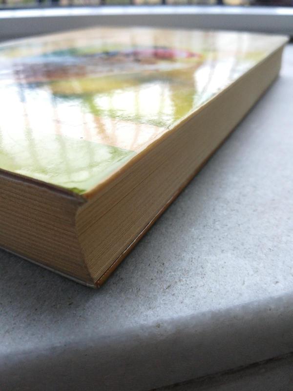 Nusprendžiau būti laimingas: devynios laimingų žmonių nuostatos, jų paslaptys ir likimai - Rick Foster, knyga 3