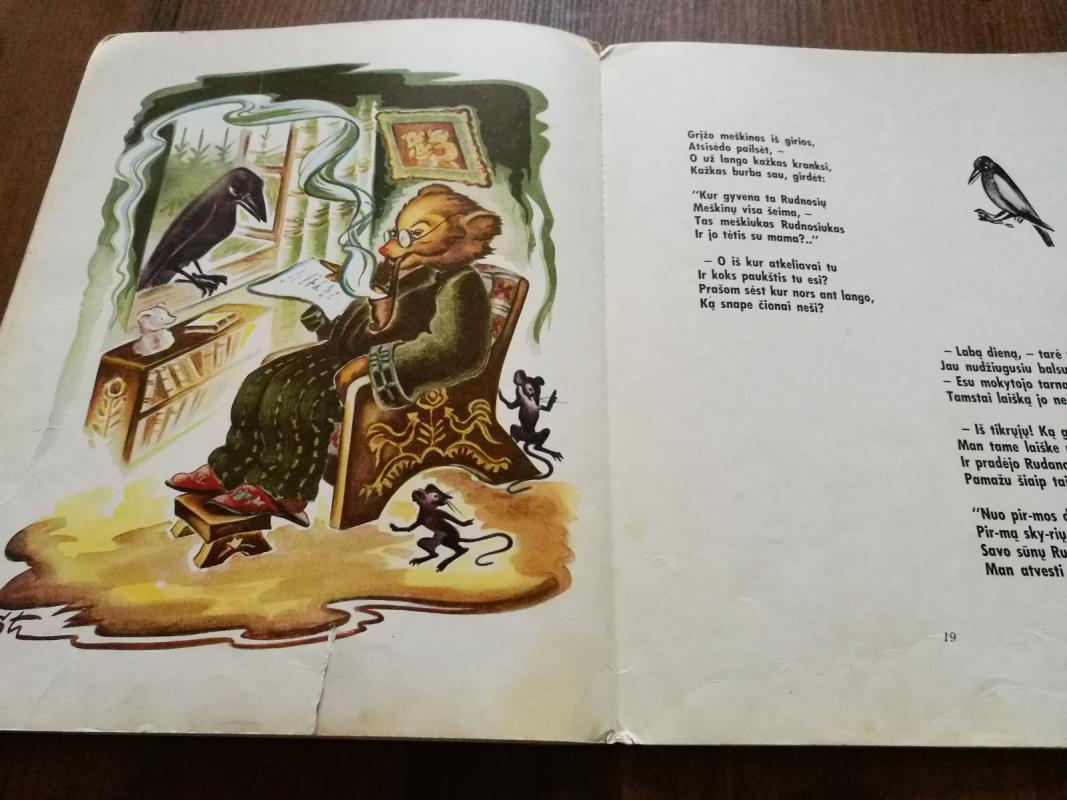 Meškiukas rudnosiukas - Vytė Nemunėlis, knyga