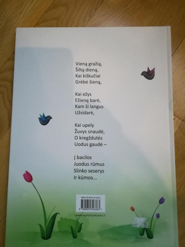 Bacilos galas - Jonas Mačiukevičius, knyga 4