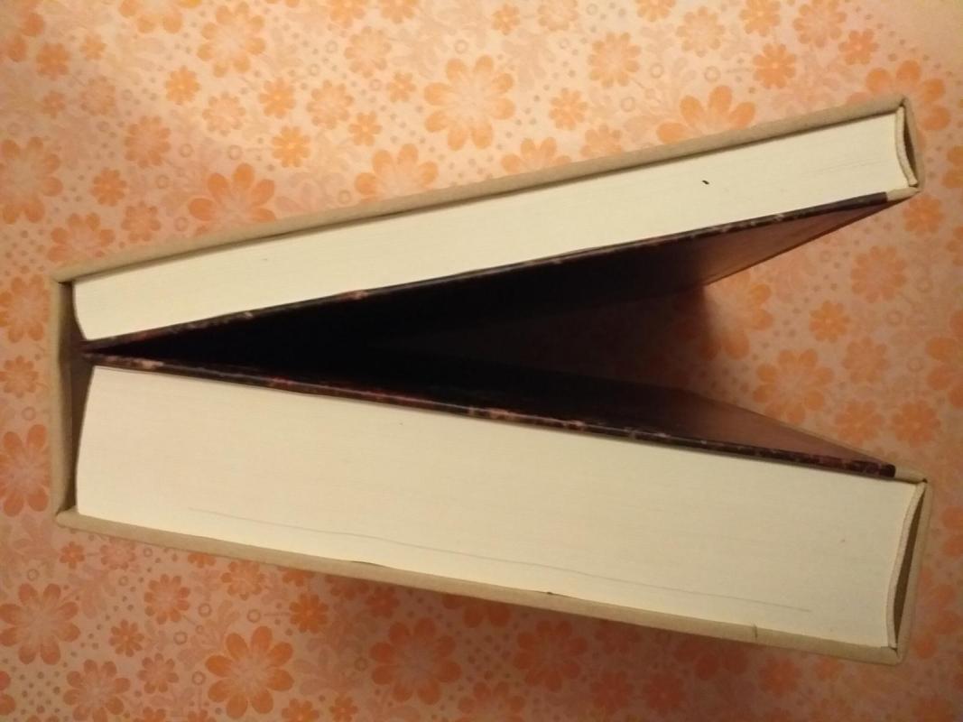 Raštai - Simonas Stanevičius, knyga 5