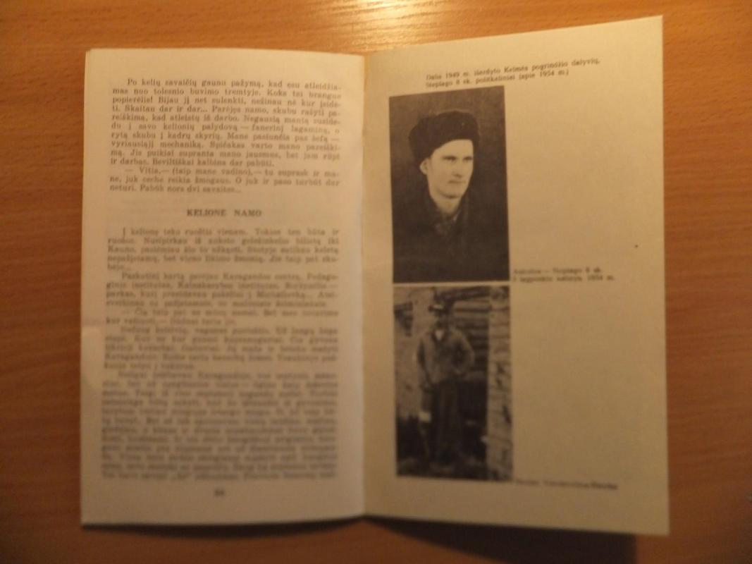 Mūsų jaunystės auka - Vincas Gurskis, knyga 4