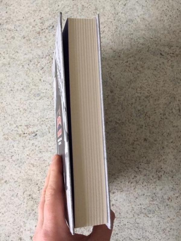 Pietinia kronikas - Rimantas Kmita, knyga