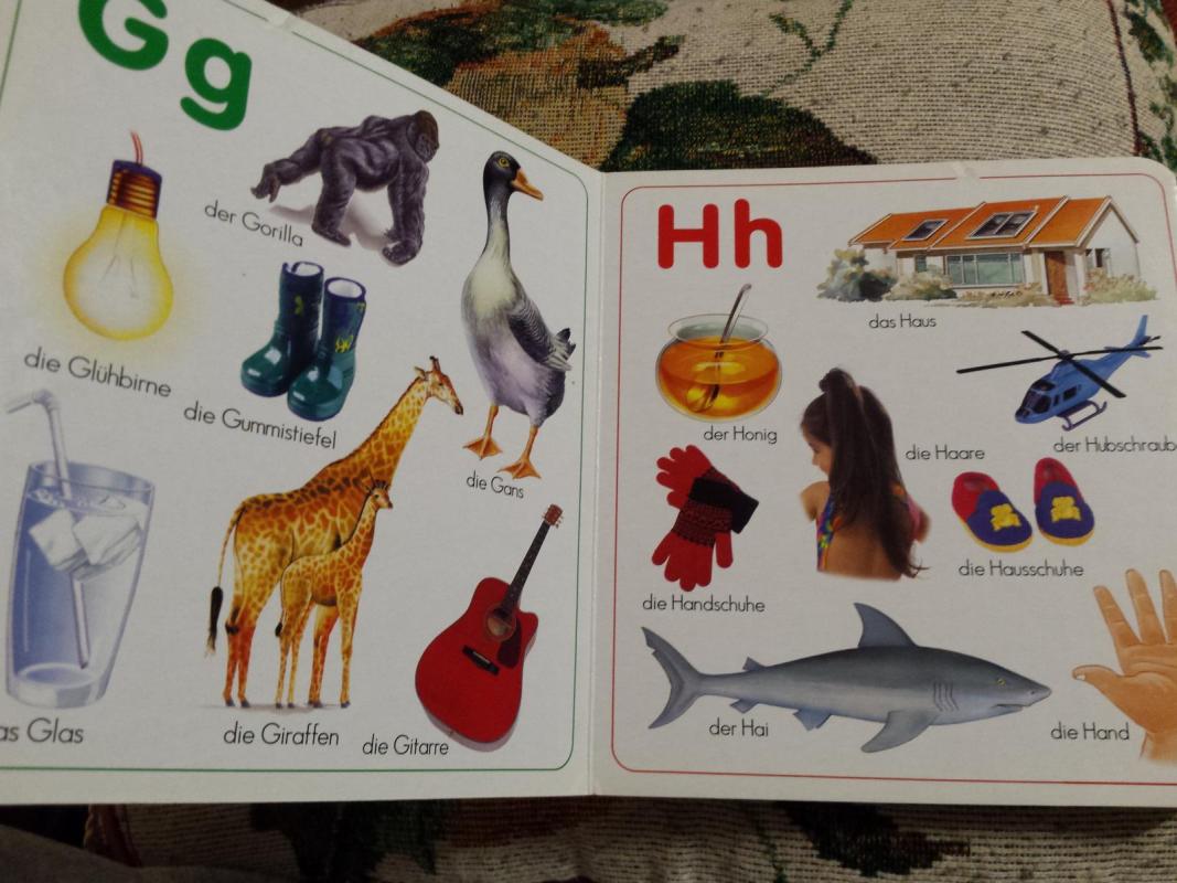 Wie heisst denn das? - Autorių Kolektyvas, knyga 5