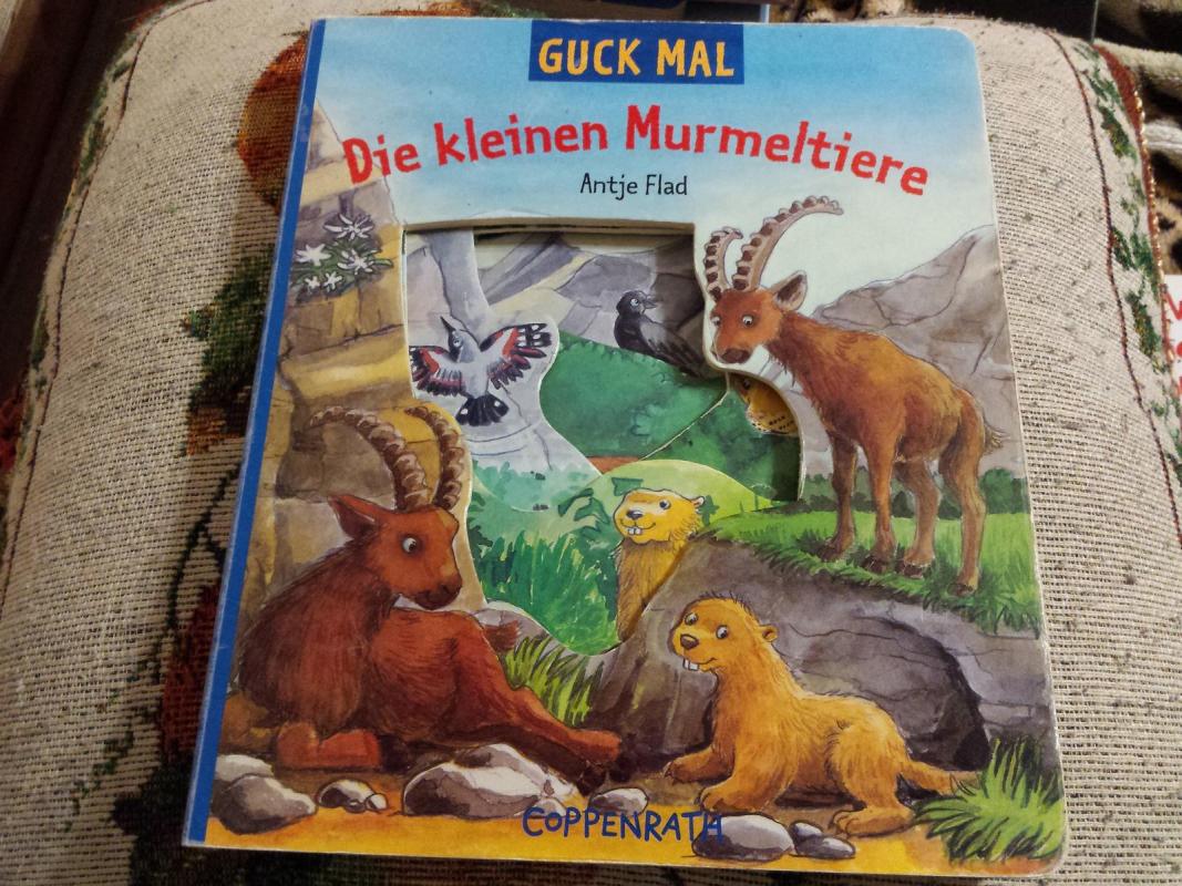 Die kleinen Murmeltiere - Antje Flad, knyga 2