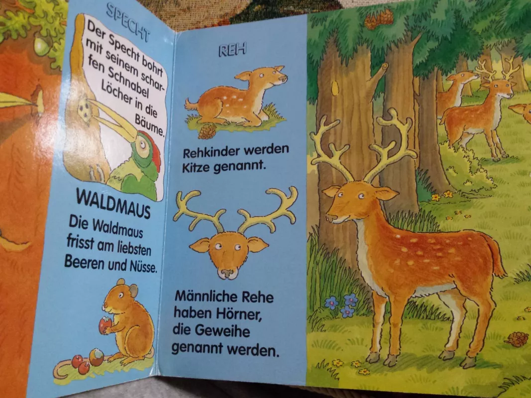 Im Wald - Autorių Kolektyvas, knyga 5