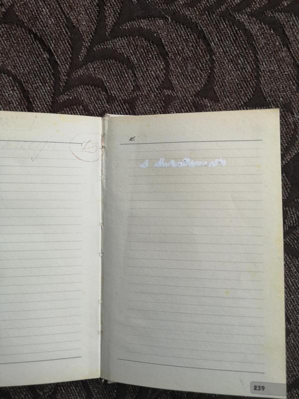 Stebuklo laukiant:  kalendorius-dienoraštis būsimai mamai - Irina Sučkova, knyga 3