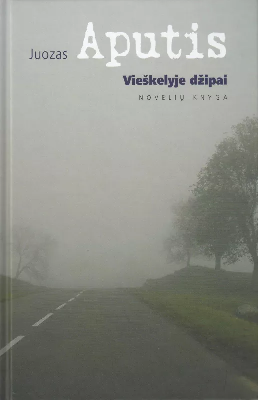 Vieškelyje džipai: novelių knyga - Juozas Aputis, knyga