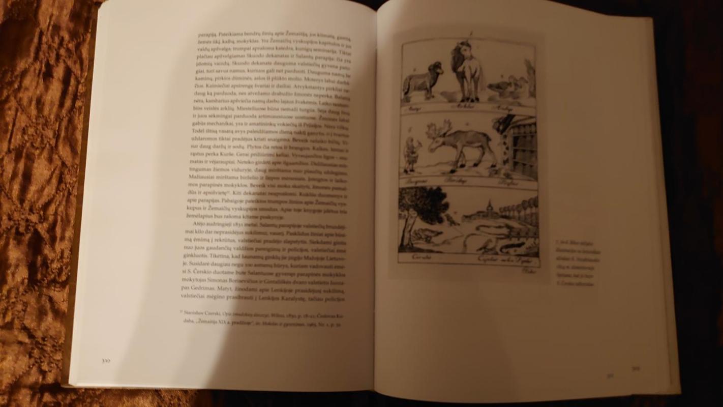 Salantų bažnyčia: istorija, meno vertybės ir žmonės - Autorių Kolektyvas, knyga 5