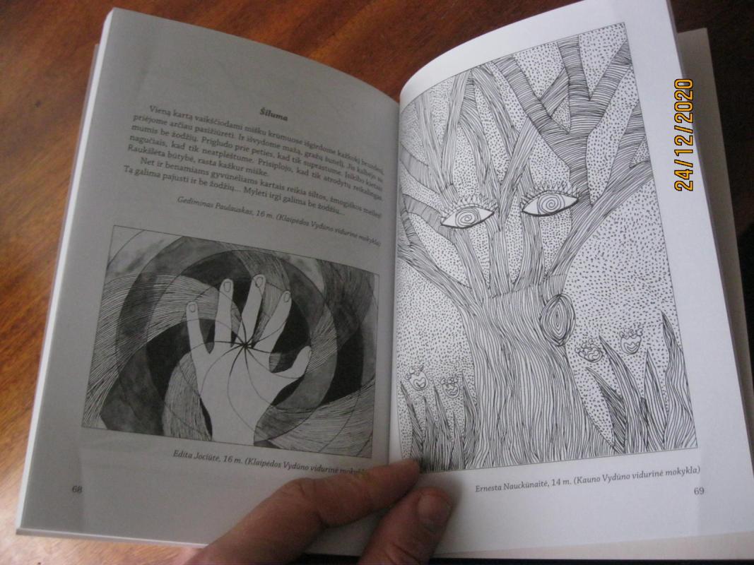 Į sveiką gyvenseną ir skaidrią būtį Vydūno keliu - Autorių Kolektyvas, knyga 4