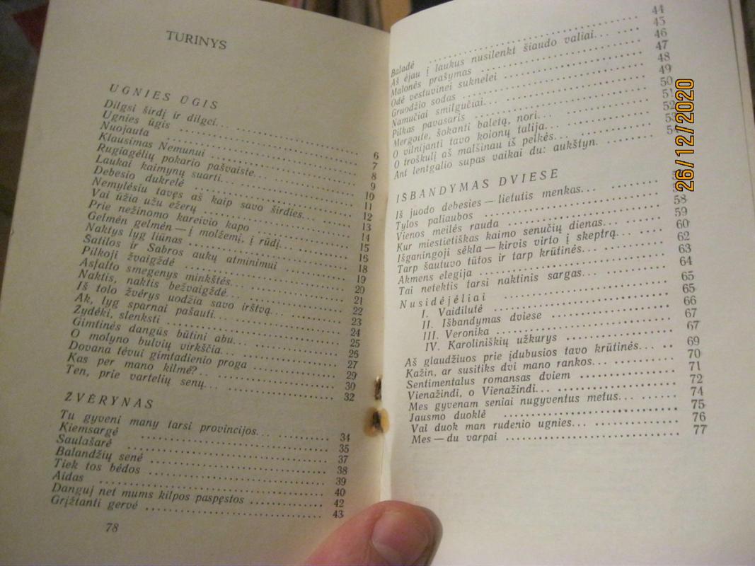 Ugnies ūgis - Algirdas Verba, knyga 2