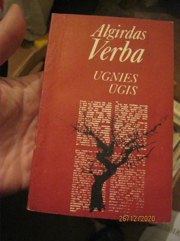 Ugnies ūgis - Algirdas Verba, knyga 3