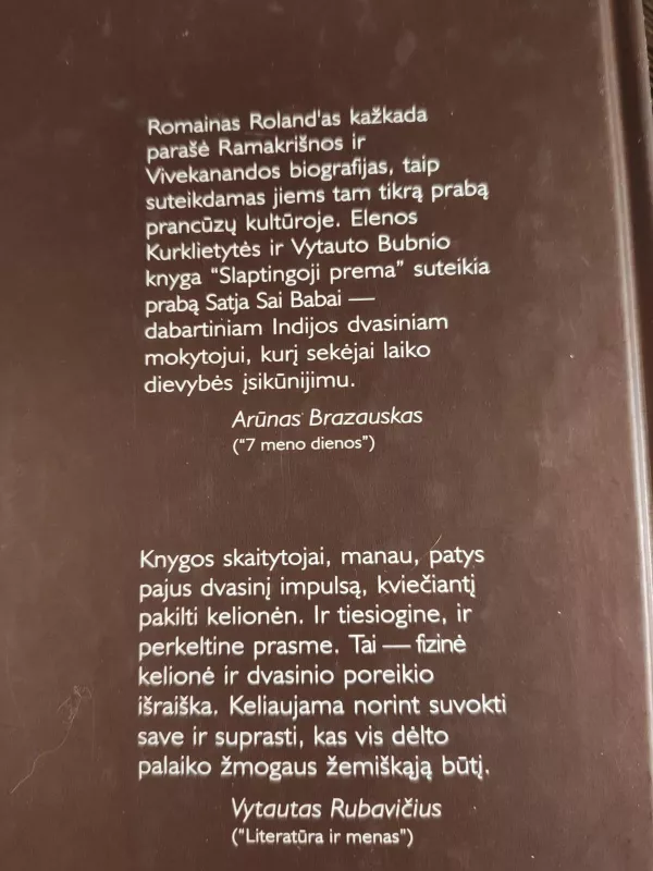 Paslaptingoji prema - Vytautas Bubnys, knyga 2