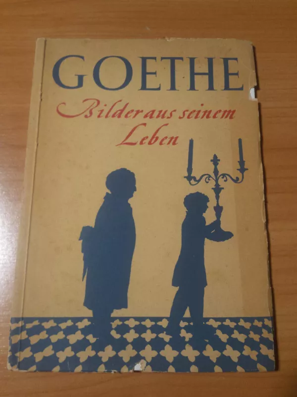 Bilder aus seinem Leben - J.W Goethe, knyga 6