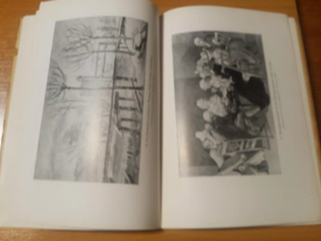 Bilder aus seinem Leben - J.W Goethe, knyga 4