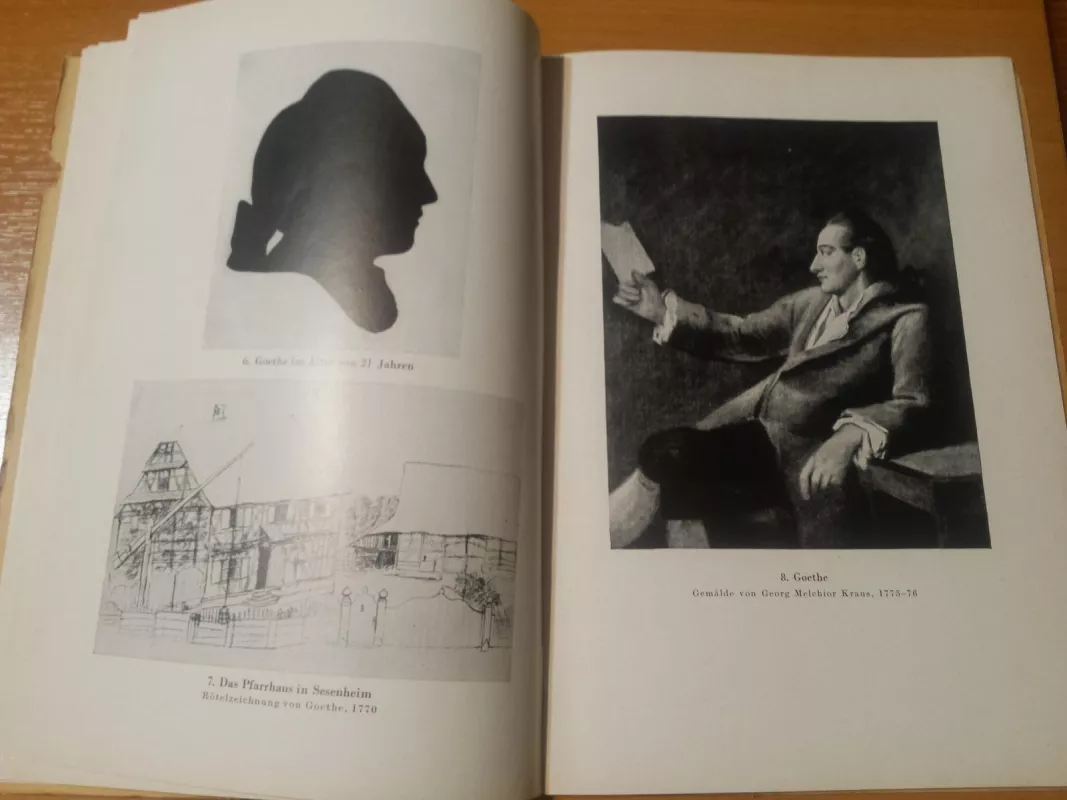 Bilder aus seinem Leben - J.W Goethe, knyga 3