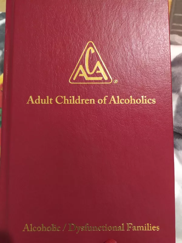 Adult Children of Alcoholics / Dysfunctional Families - Autorių Kolektyvas, knyga