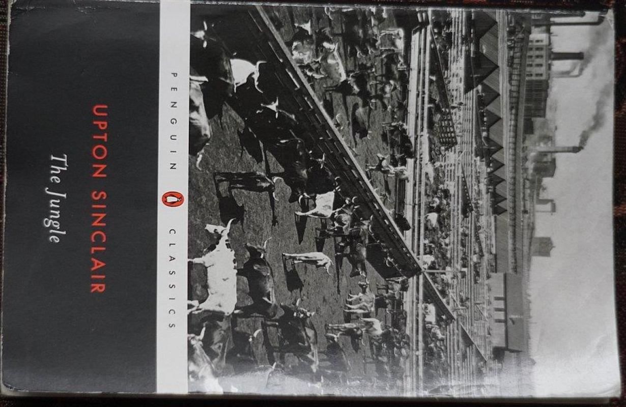 The Jungle - Upton Sinclair, knyga