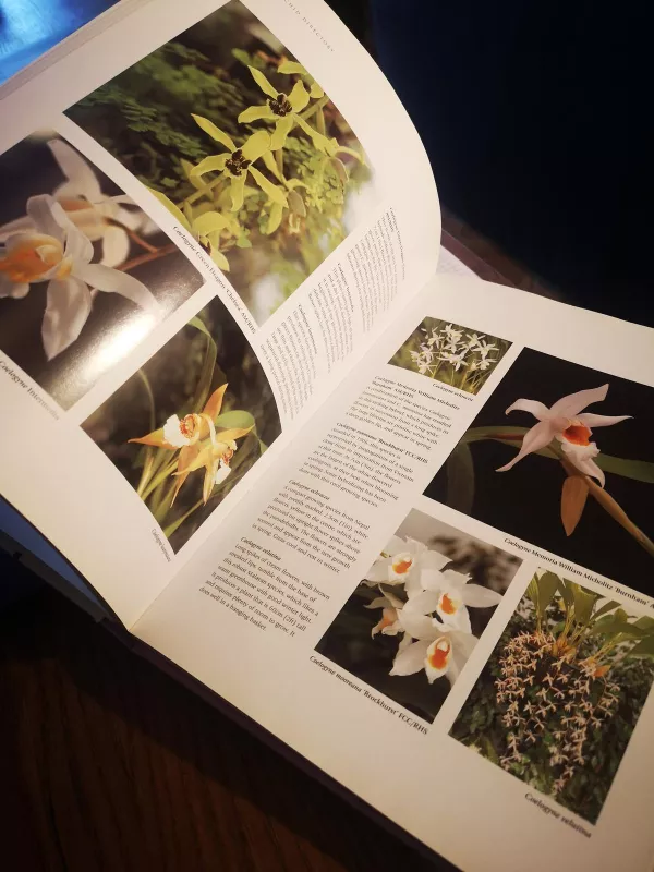 The practical encyclopedia of orchids - Brian Rittershausen, knyga