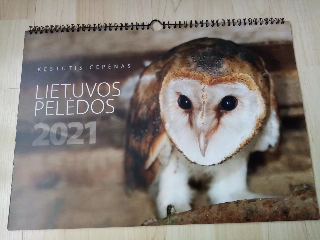Lietuvos pelėdos 2021 kalendorius - Kęstutis Čepėnas, knyga